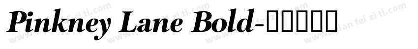 Pinkney Lane Bold字体转换